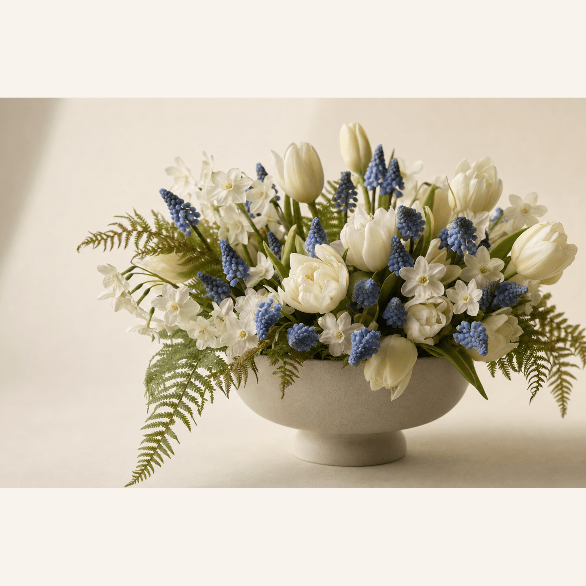 White tulips, blue muscari and white narcissus arranged with fern fronds in a cream ceramic pedestal bowl